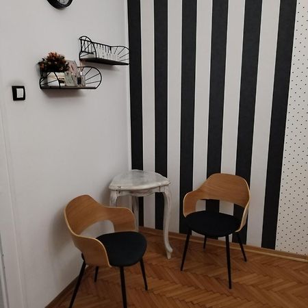 Apartment Korzo Novi Sad Dış mekan fotoğraf